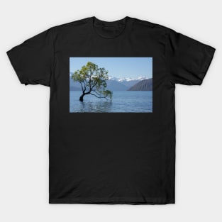 That Wanaka Tree T-Shirt
